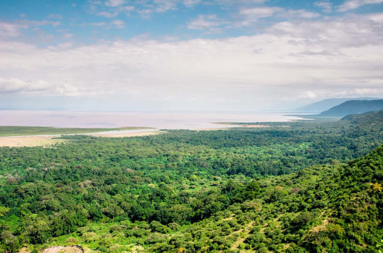 Lake-Manyara-National-Park-4-1160x774