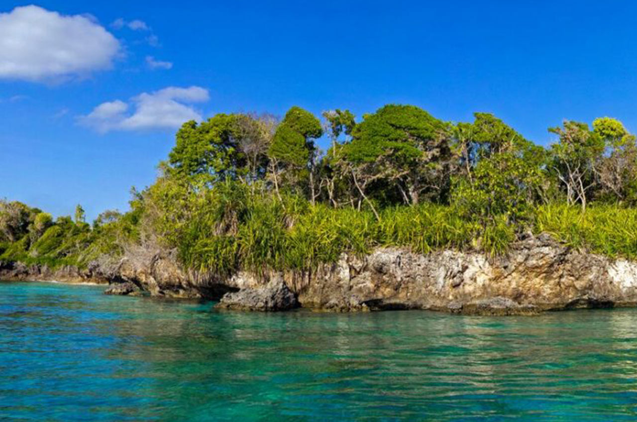 Mafia-Island-Tanzania-Specialist.com_