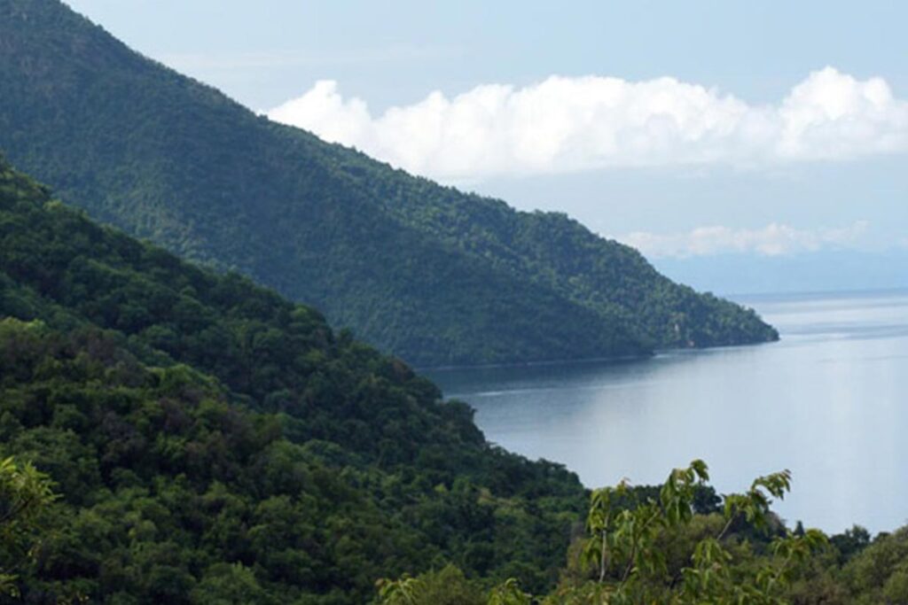 Yet another remote but intriguing destination for wildlife watching, Mahale Mountains National Park is located along
