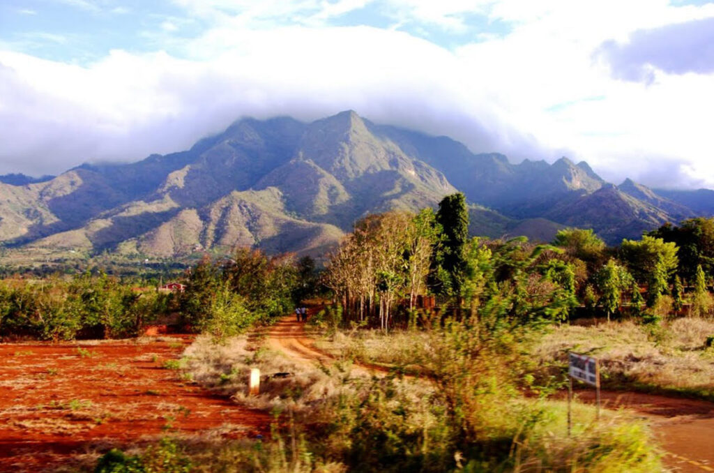 Morogoro lies in the agricultural heartland of Tanzania, and is a centre of farming in the southern highlands.